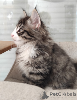 Photo №1.  - for sale in the city of Helsinki-Uusimaa | Is free | Announcement № 165774