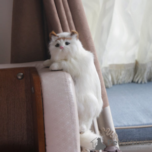 Photo №2 to announcement № 129159 for the sale of american bobtail - buy in Barbados private announcement