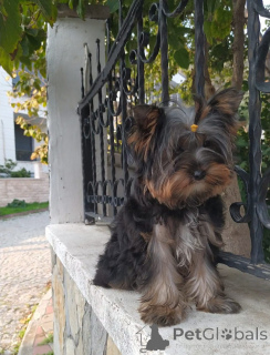 Photo №3. Yorochka Bead for great love. Turkey