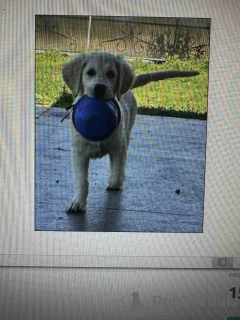 Photo №3. Golden SanitacTeamday. Serbia