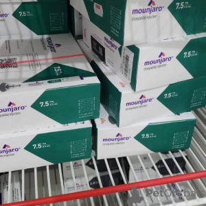 Photo №1. american curl - for sale in the city of Augsburg | Is free | Announcement № 156651