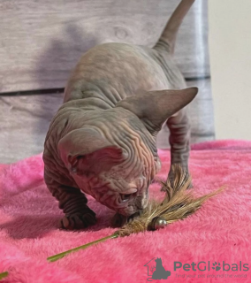 Photo №4. I will sell  in the city of Getaria. private announcement - price - negotiated