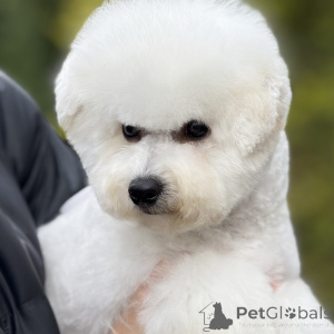 Photo №1.  - for sale in the city of Kaunas | 1548$ | Announcement № 159516