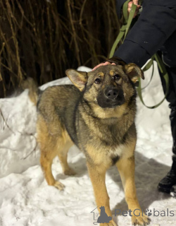 Photo №1.  - for sale in the city of Moscow river | Is free | Announcement № 165691