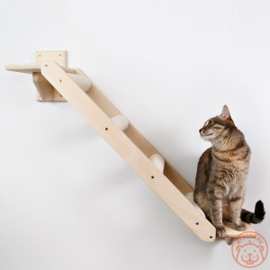 Photo №3. A very durable and comfortable wall cat ladder The path to excellence in Russian Federation