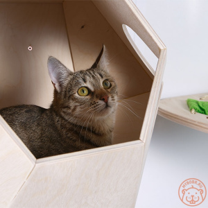 Photo №3. Wall complex 