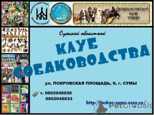 Photo №1. Service of the dog handler in the city of Sumy. Price - Is free. Announcement № 150034