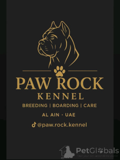 Photo №1. Hotel for animals in the city of Al Ain. Price - negotiated. Announcement № 145660