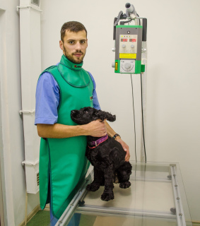 Photo №1. Veterinarian Services in the city of Minsk. Price - Negotiated. Announcement № 1165