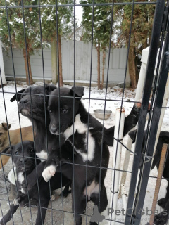 Photo №3. Olha Kalnytska. Poland