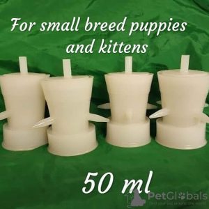 Photo №3. Pacifier cup for feeding newborn puppies of small breeds and kittens in Ukraine