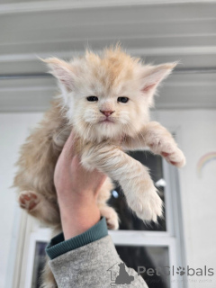 Photo №1.  - for sale in the city of Aalen | negotiated | Announcement № 156476