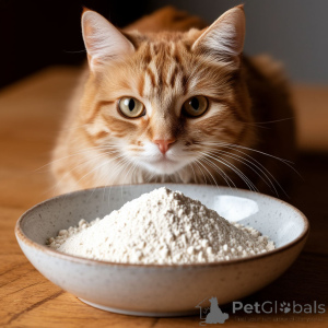 Photo №3. Northern deer horns. Russian Federation