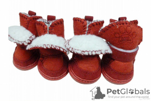Additional photos: Ugg boots for dogs - new