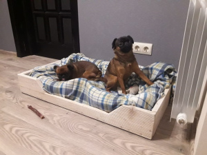 Photo №2. Furniture for dogs and cats in Russian Federation. Price - negotiated. Announcement № 6789