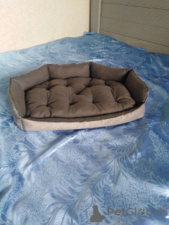 Additional photos: Beds (bed, house, sunbed) for animals, dogs, cats, etc.