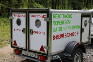 Photo №1. Services for the delivery and transportation of cats and dogs in the city of Kazan. Announcement № 3362