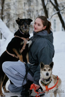 Photo №3. Viva remembering no evil . Russian Federation