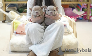 Photo №1.  - for sale in the city of Bremen | 7341$ | Announcement № 144359