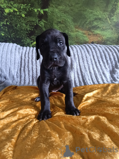 Photo №3. Great data. Poland