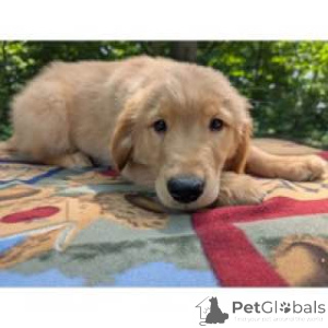 Photo №3. Positive vibe only. Australia