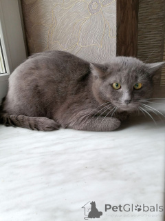 Photo №3. The handsome Timosha is looking for the kindest mother in the world.. Belarus