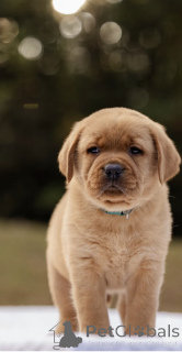 Photo №1.  - for sale in the city of Manchester | negotiated | Announcement № 160258