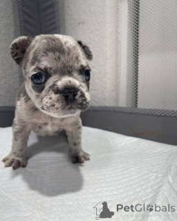 Photo №4. I will sell  in the city of Texas.  - price - negotiated