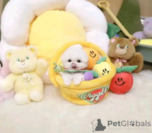 Photo №4. I will sell  in the city of Calgary.  - price - negotiated