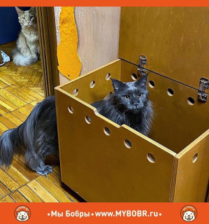 Photo №3. Coto-toilet from in Russian Federation