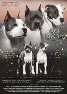 Photo №4. I will sell american staffordshire terrier in the city of Москва. from nursery - price - 923$