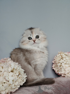 Photo №3. Catherine. Russian Federation