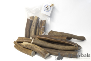 Photo №4. Cungal dimensional horn of the northern deer and moose in Russian Federation. Announcement № 139156