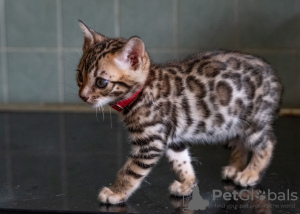 Photo №2 to announcement № 132164 for the sale of  - buy in Switzerland 