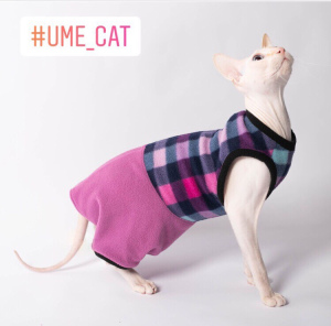 Additional photos: Clothes for cats and cats