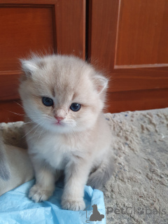 Photo №3. Julia Vladimirovna Fonareva. Russian Federation