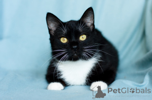 Photo №3. Aristocratic fiat. Belarus