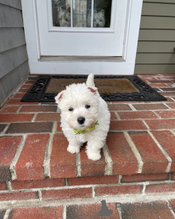 Photo №1.  - for sale in the city of Augsburg | 376$ | Announcement № 148955