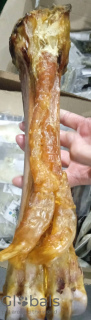 Photo №1. Beef bone L giant in the city of Tambov. Price - negotiated. Announcement № 106802