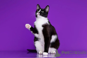 Photo №1.  - for sale in the city of Moscow river | Is free | Announcement № 144541