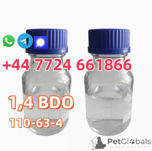 Photo №2 to announcement № 142167 for the sale of american bobtail - buy in United States private announcement