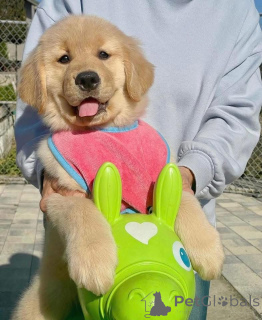 Photo №1.  - for sale in the city of Granada | Is free | Announcement № 161253