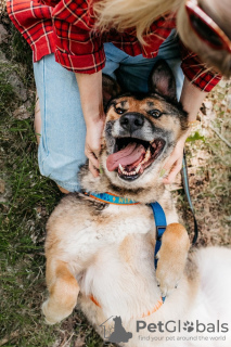 Additional photos: Bro is your future best friend! In good hands