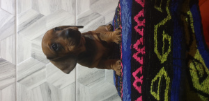 Photo №3. Evgenia Chernomorova. Belarus