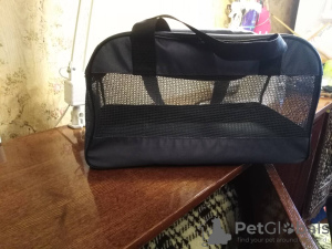 Photo №1. Carrying bag for dogs and cats of small breeds in the city of Kharkov. Price - negotiated. Announcement № 11365