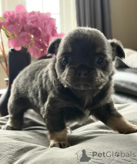 Photo №1.  - for sale in the city of Grevesmühlen | 299$ | Announcement № 167681