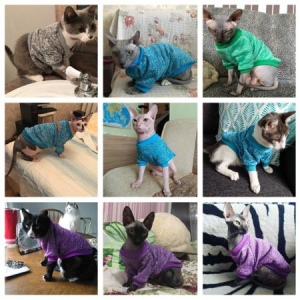 Photo №2. Clothes for dogs and cats in Russian Federation. Price - 7$. Announcement № 1174