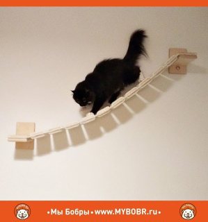 Photo №3. Suspension kit for cats 