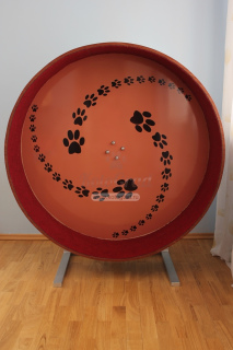 Photo №1. Wheel for cats Track should appeal not only to the villagers, but also to their in the city of Москва. Price - 300$. Announcement № 998
