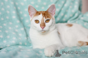 Photo №3. Merry Lence. Belarus